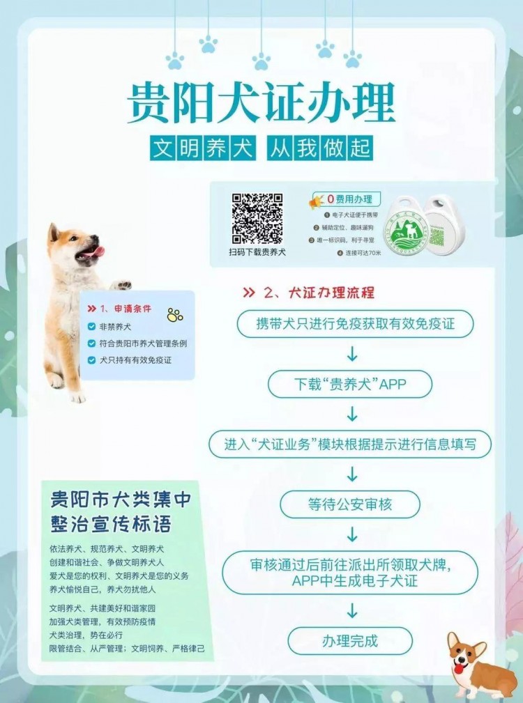 贵阳可以给狗狗办身份证啦！还可通过APP寻狗