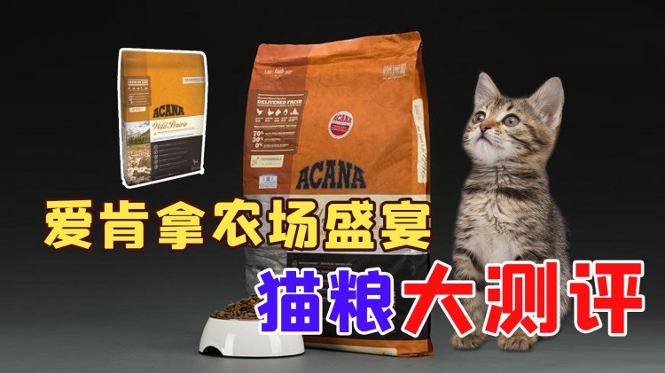 ACANA爱肯拿猫粮怎么样？爱肯拿猫粮全面测评